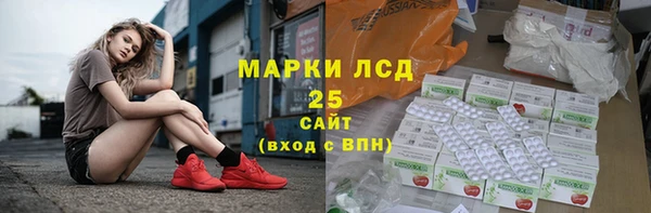 сатива Бородино