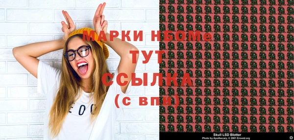 сатива Бородино
