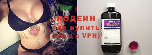 сатива Бородино