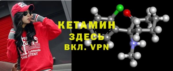 сатива Бородино