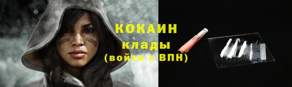 сатива Бородино