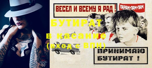 сатива Бородино