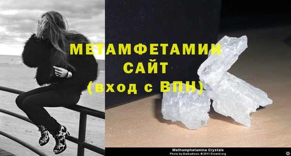 сатива Бородино